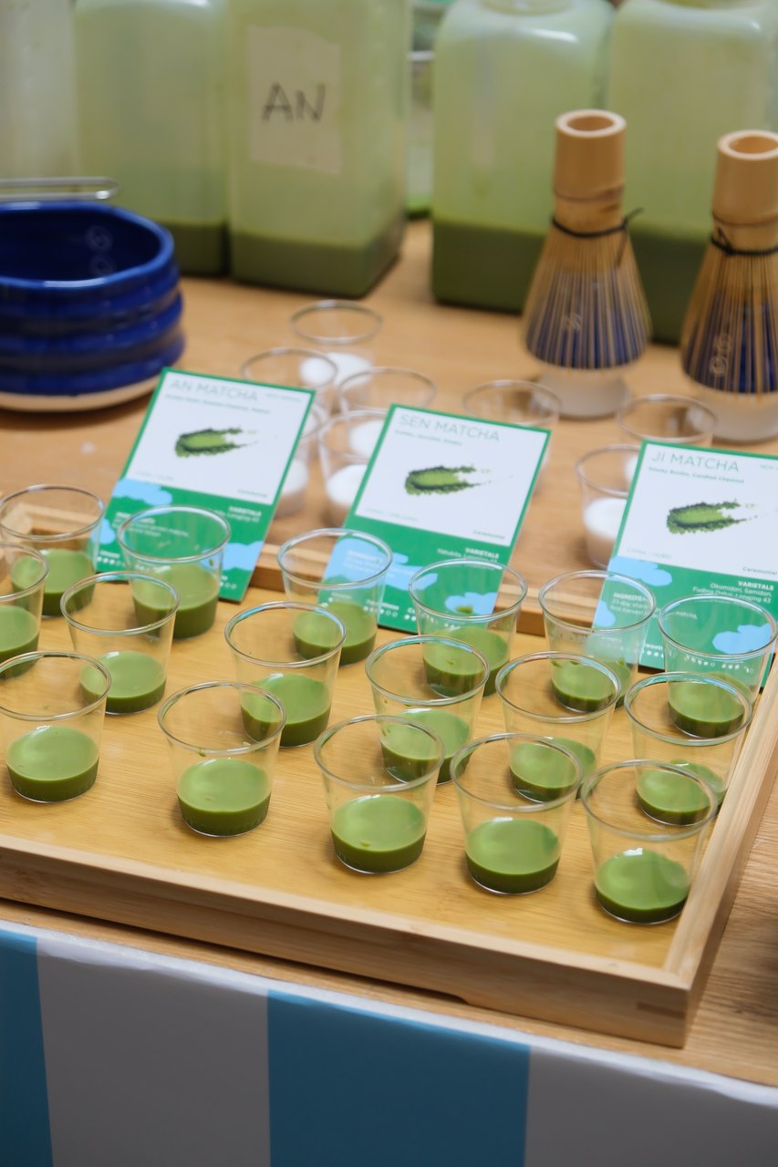 Forest Cloud matcha tasting samples set out for product education