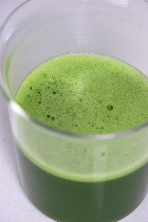 Freshly whisked matcha in a glass